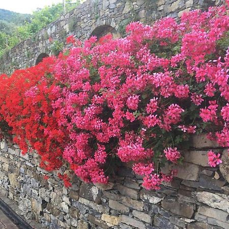 Villa Olivari - Apt La Lavanda Camogli Zewnętrze zdjęcie