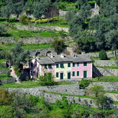 Villa Olivari - Apt La Lavanda Camogli Zewnętrze zdjęcie