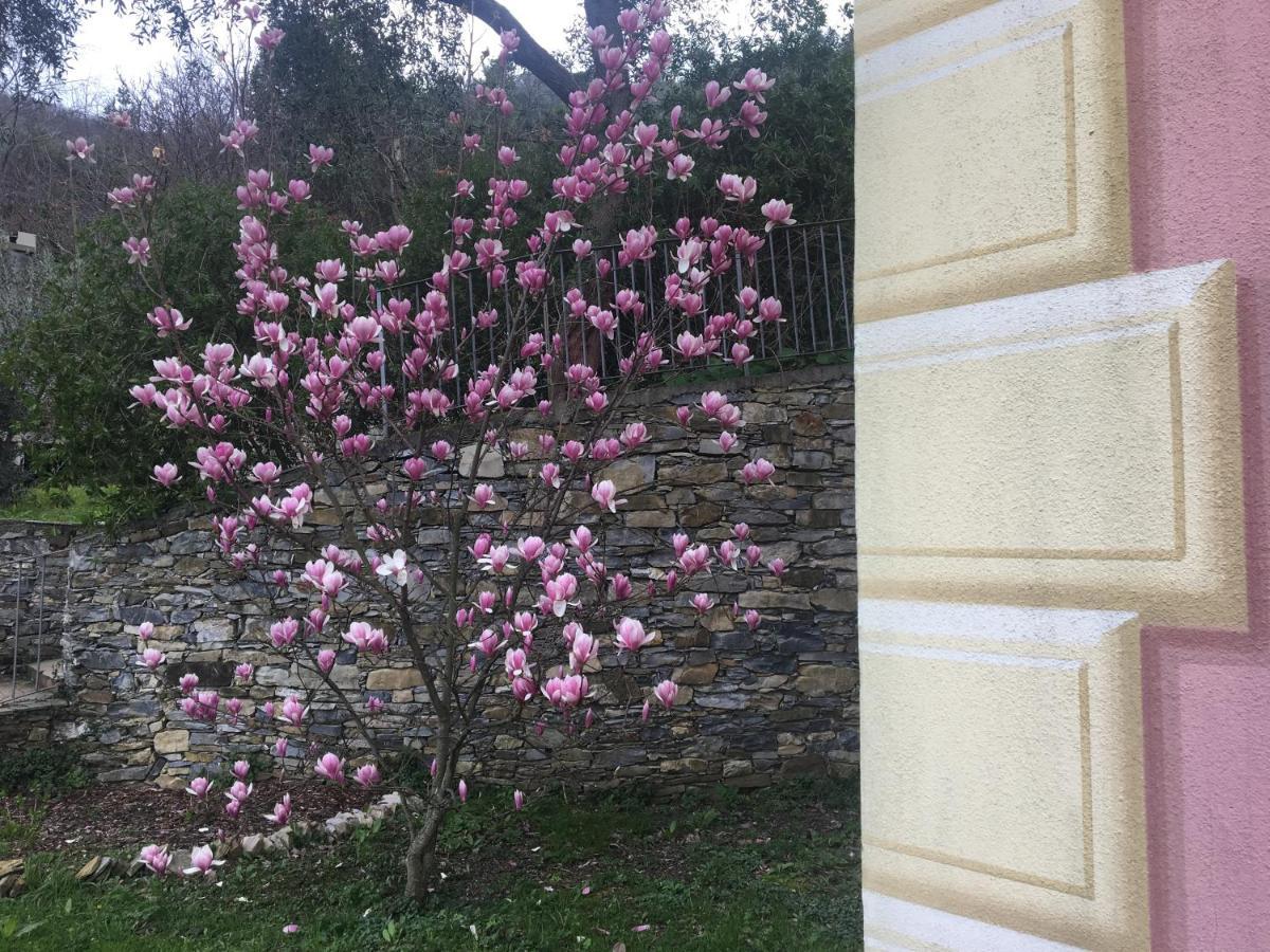 Villa Olivari - Apt La Lavanda Camogli Zewnętrze zdjęcie