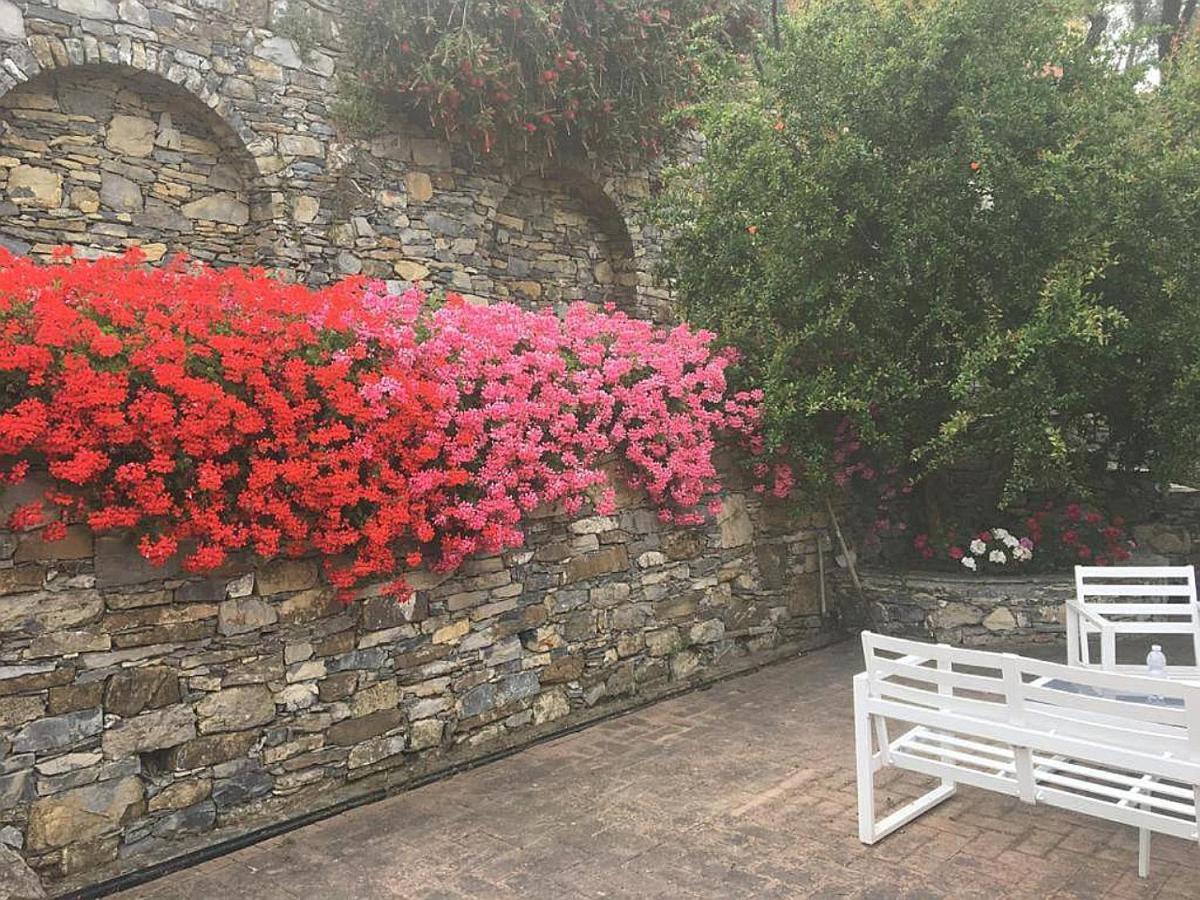 Villa Olivari - Apt La Lavanda Camogli Zewnętrze zdjęcie
