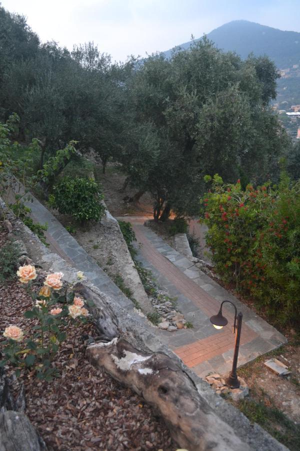 Villa Olivari - Apt La Lavanda Camogli Zewnętrze zdjęcie
