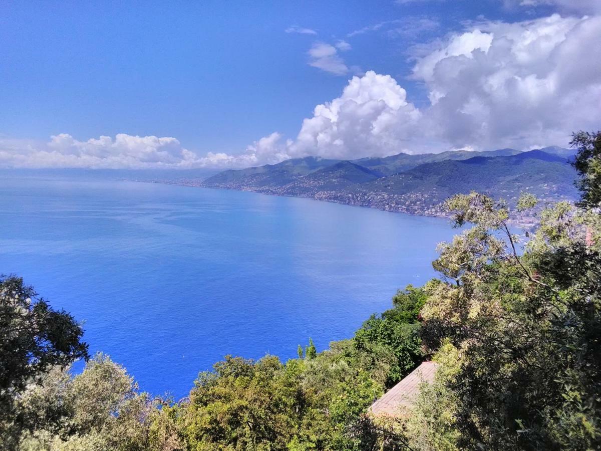 Villa Olivari - Apt La Lavanda Camogli Zewnętrze zdjęcie