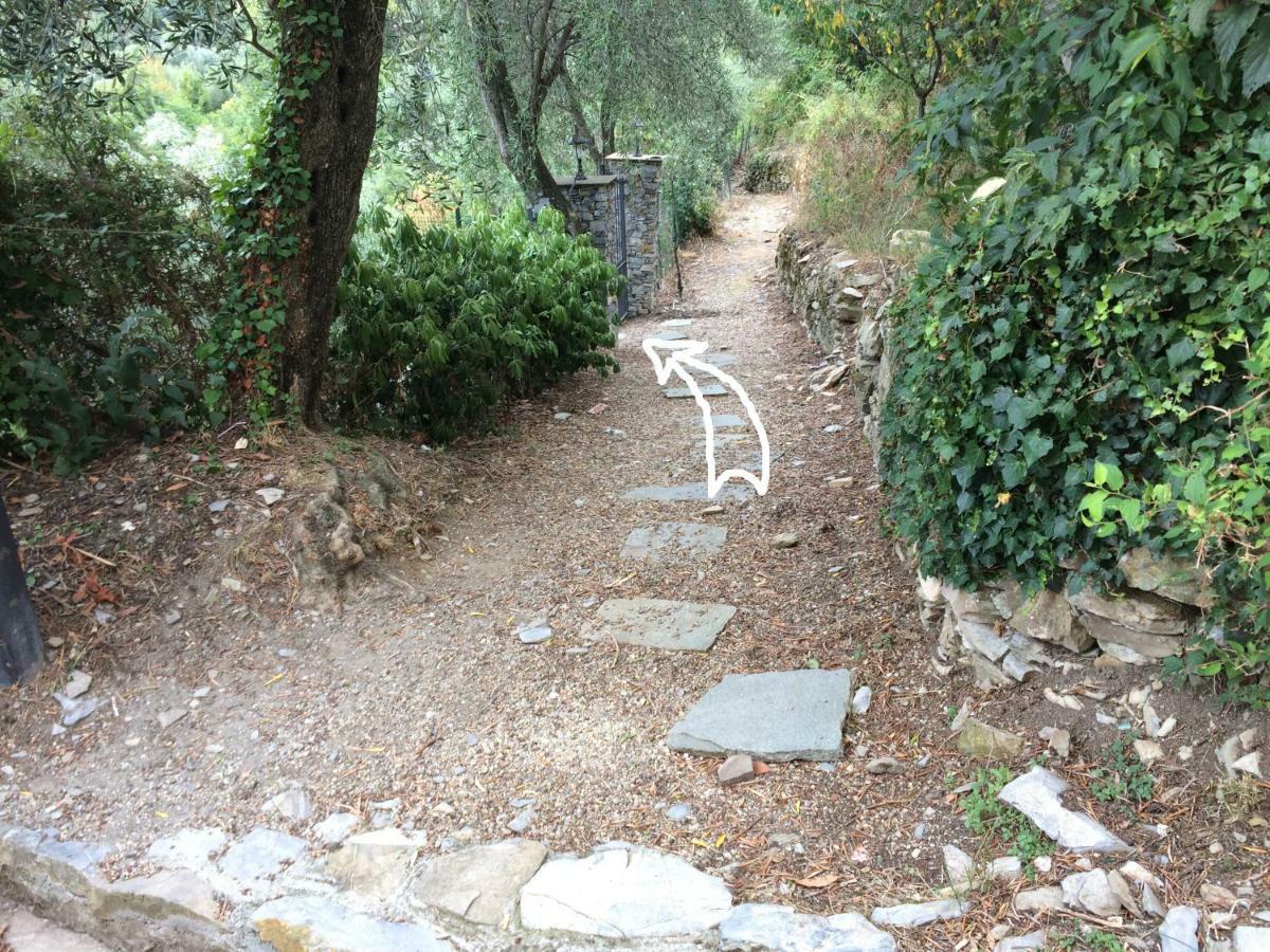 Villa Olivari - Apt La Lavanda Camogli Zewnętrze zdjęcie