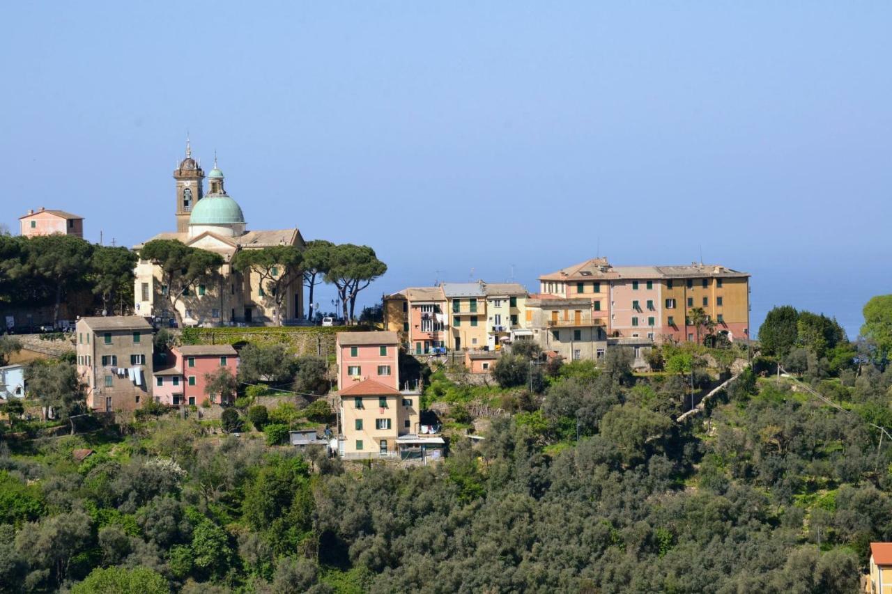 Villa Olivari - Apt La Lavanda Camogli Zewnętrze zdjęcie
