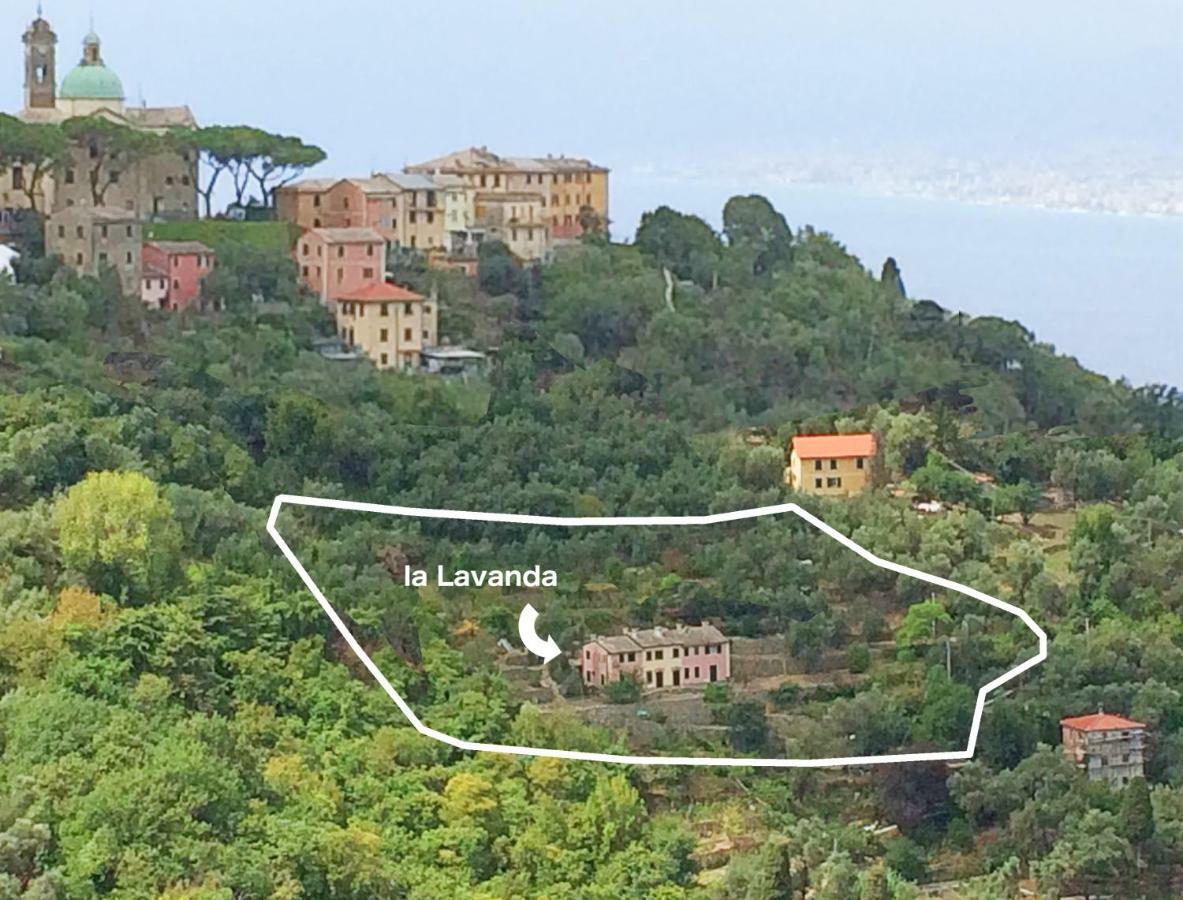 Villa Olivari - Apt La Lavanda Camogli Zewnętrze zdjęcie