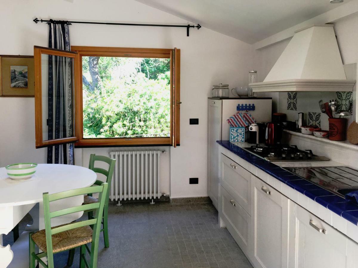 Villa Olivari - Apt La Lavanda Camogli Zewnętrze zdjęcie