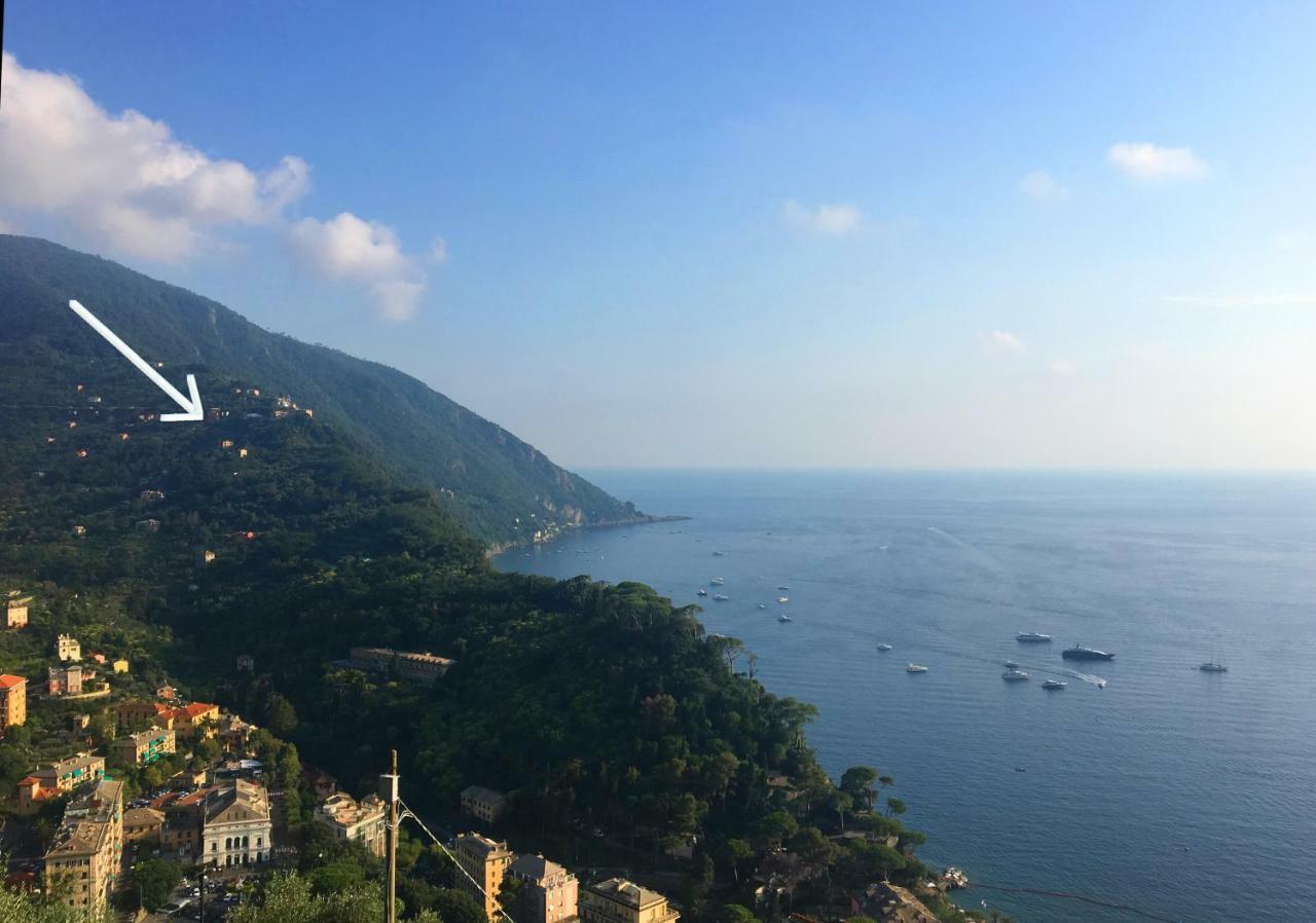 Villa Olivari - Apt La Lavanda Camogli Zewnętrze zdjęcie