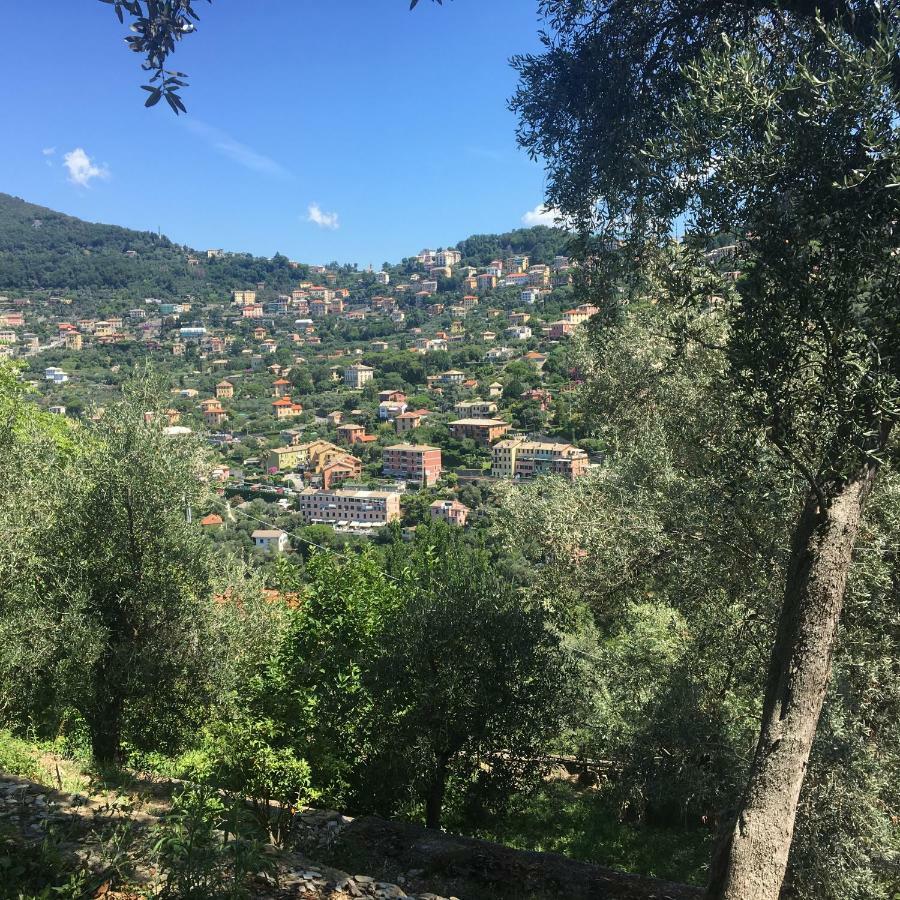 Villa Olivari - Apt La Lavanda Camogli Zewnętrze zdjęcie