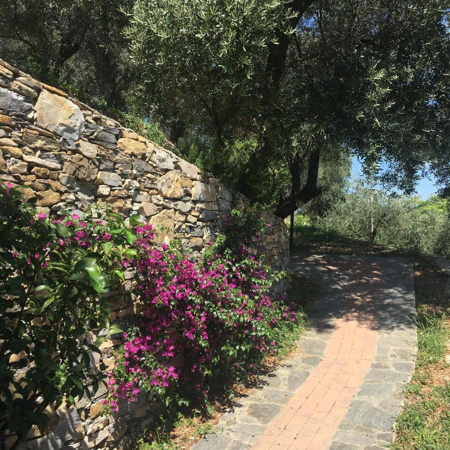 Villa Olivari - Apt La Lavanda Camogli Zewnętrze zdjęcie